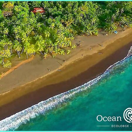 Ocean Forest Ecolodge San Pedrillo Bagian luar foto
