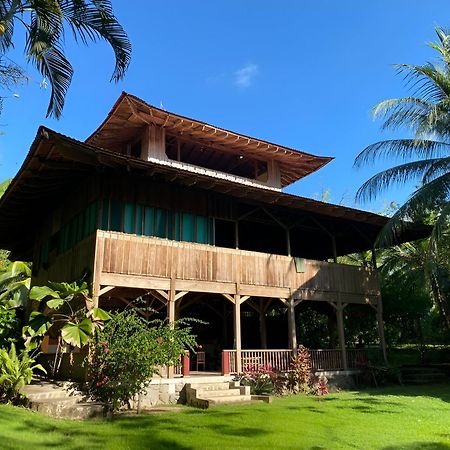 Ocean Forest Ecolodge San Pedrillo Bagian luar foto