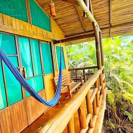 Ocean Forest Ecolodge San Pedrillo Bagian luar foto