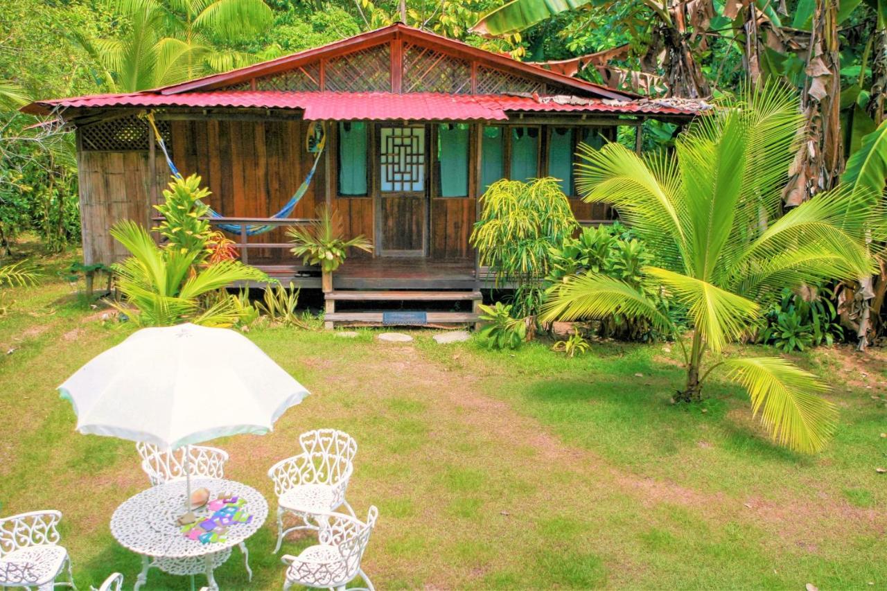 Ocean Forest Ecolodge San Pedrillo Bagian luar foto