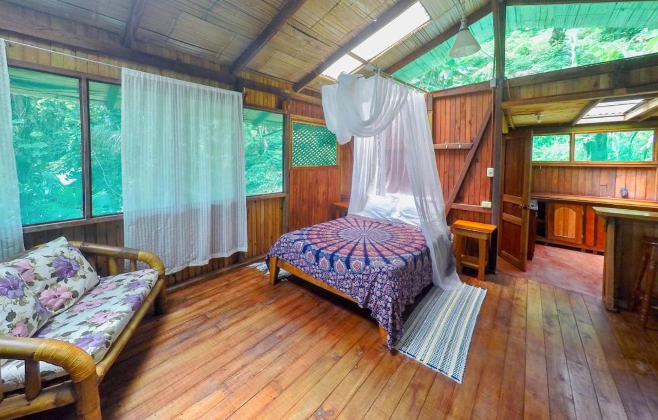 Ocean Forest Ecolodge San Pedrillo Bagian luar foto