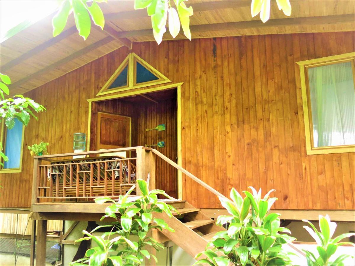 Ocean Forest Ecolodge San Pedrillo Bagian luar foto