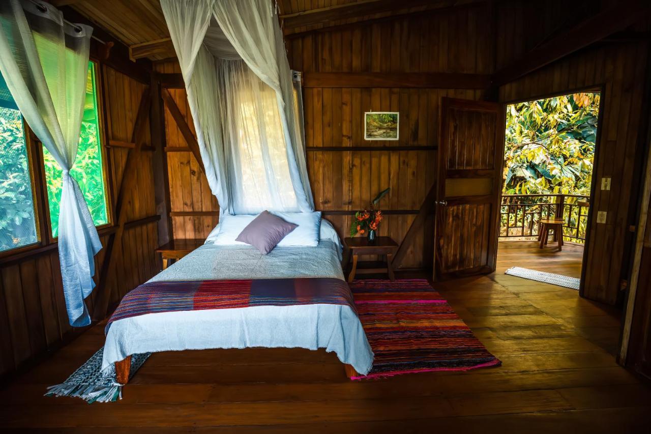Ocean Forest Ecolodge San Pedrillo Bagian luar foto