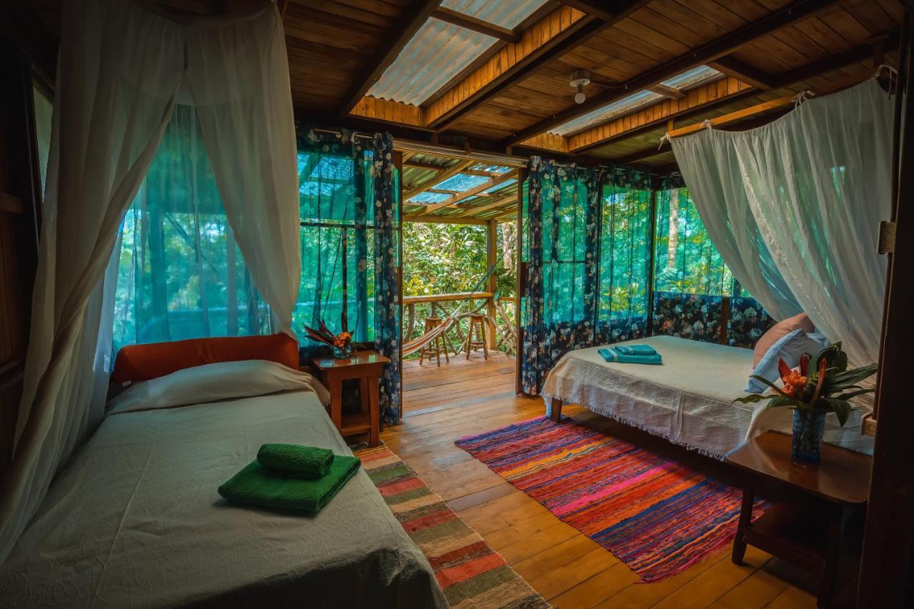 Ocean Forest Ecolodge San Pedrillo Bagian luar foto