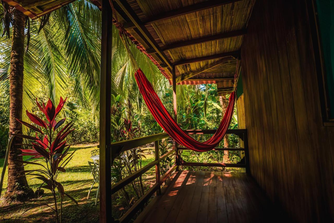 Ocean Forest Ecolodge San Pedrillo Bagian luar foto