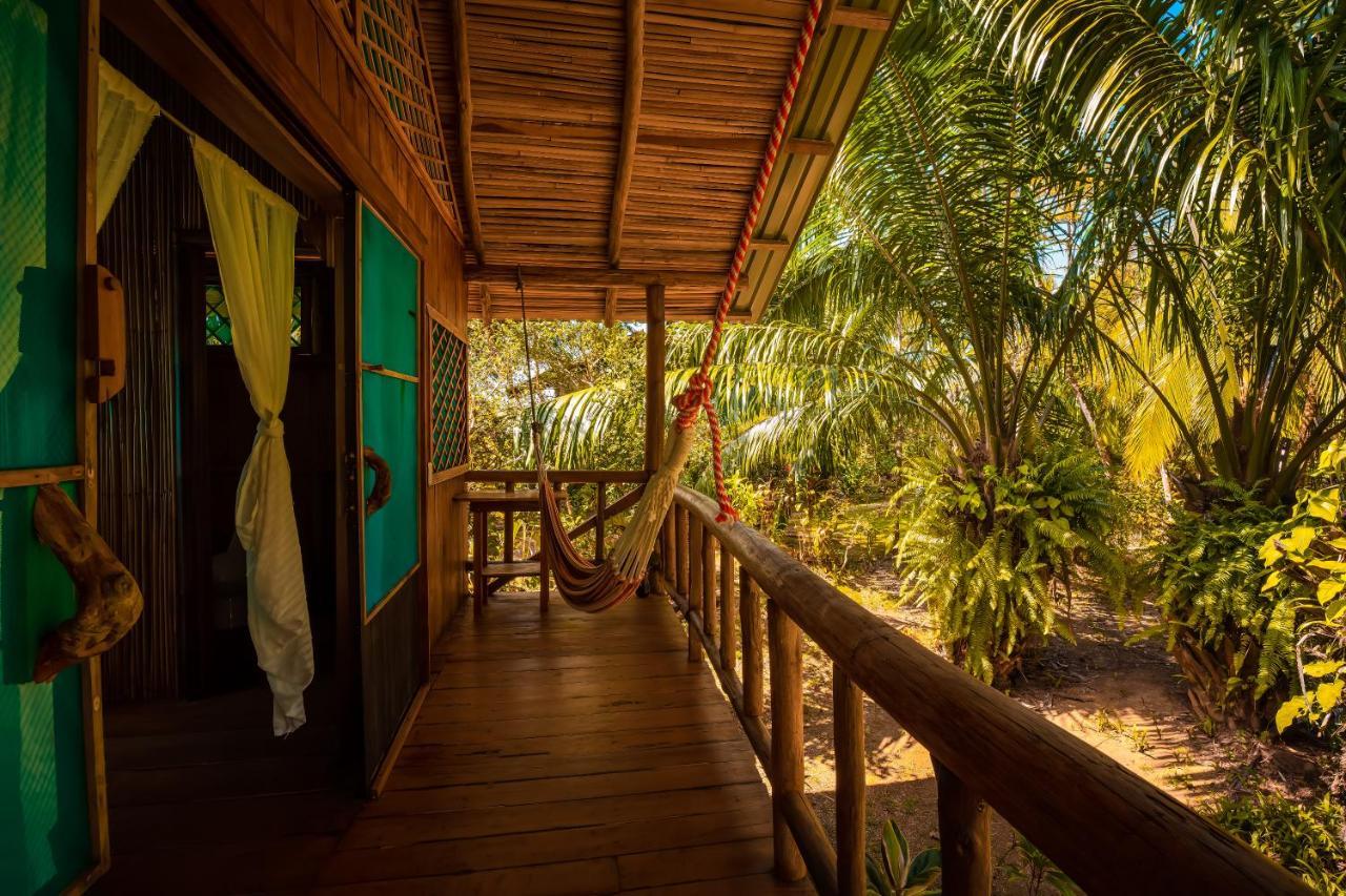 Ocean Forest Ecolodge San Pedrillo Bagian luar foto