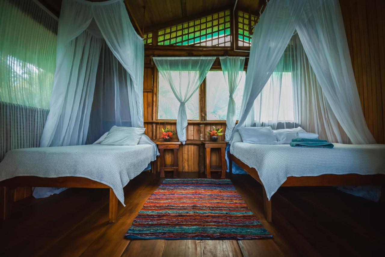 Ocean Forest Ecolodge San Pedrillo Bagian luar foto