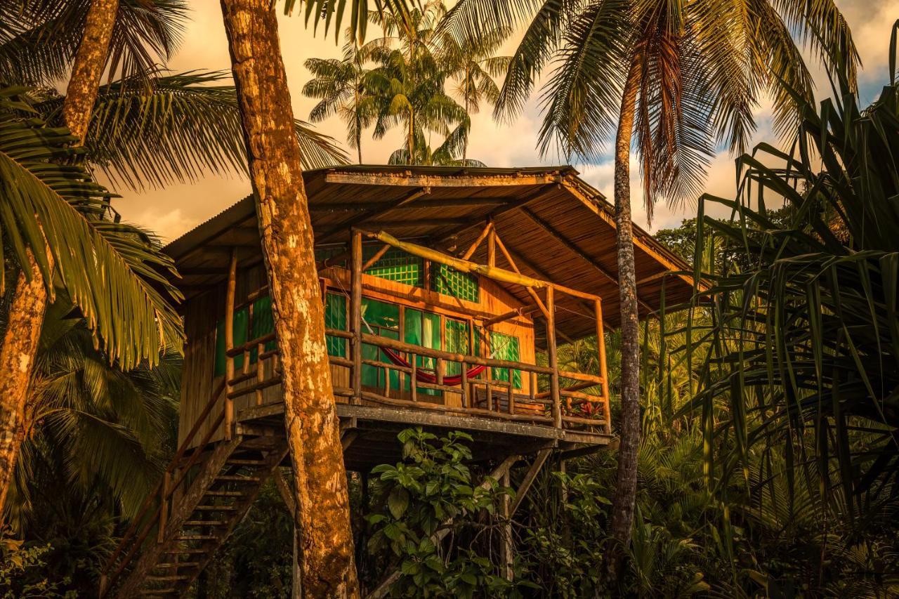 Ocean Forest Ecolodge San Pedrillo Bagian luar foto