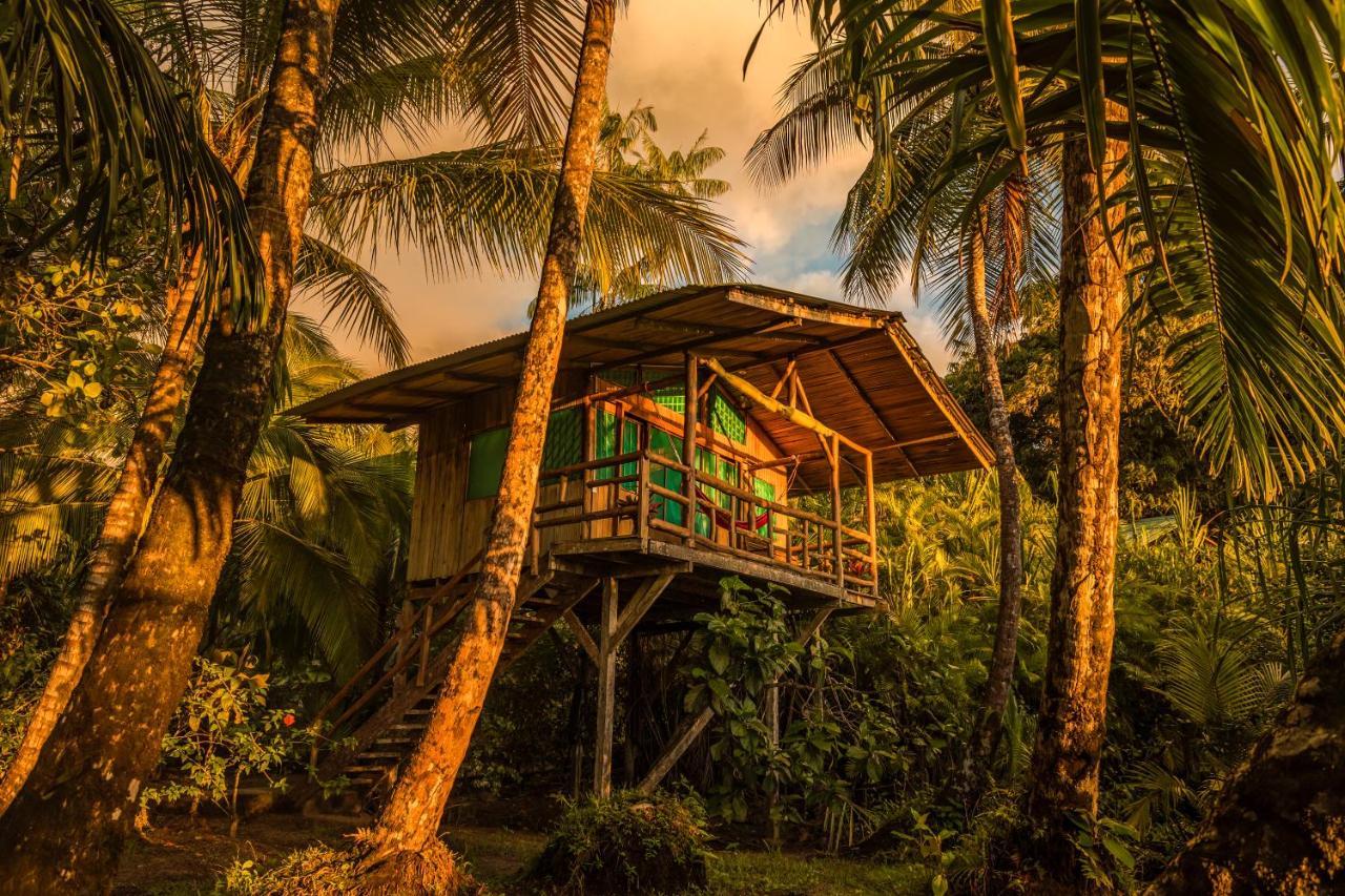 Ocean Forest Ecolodge San Pedrillo Bagian luar foto