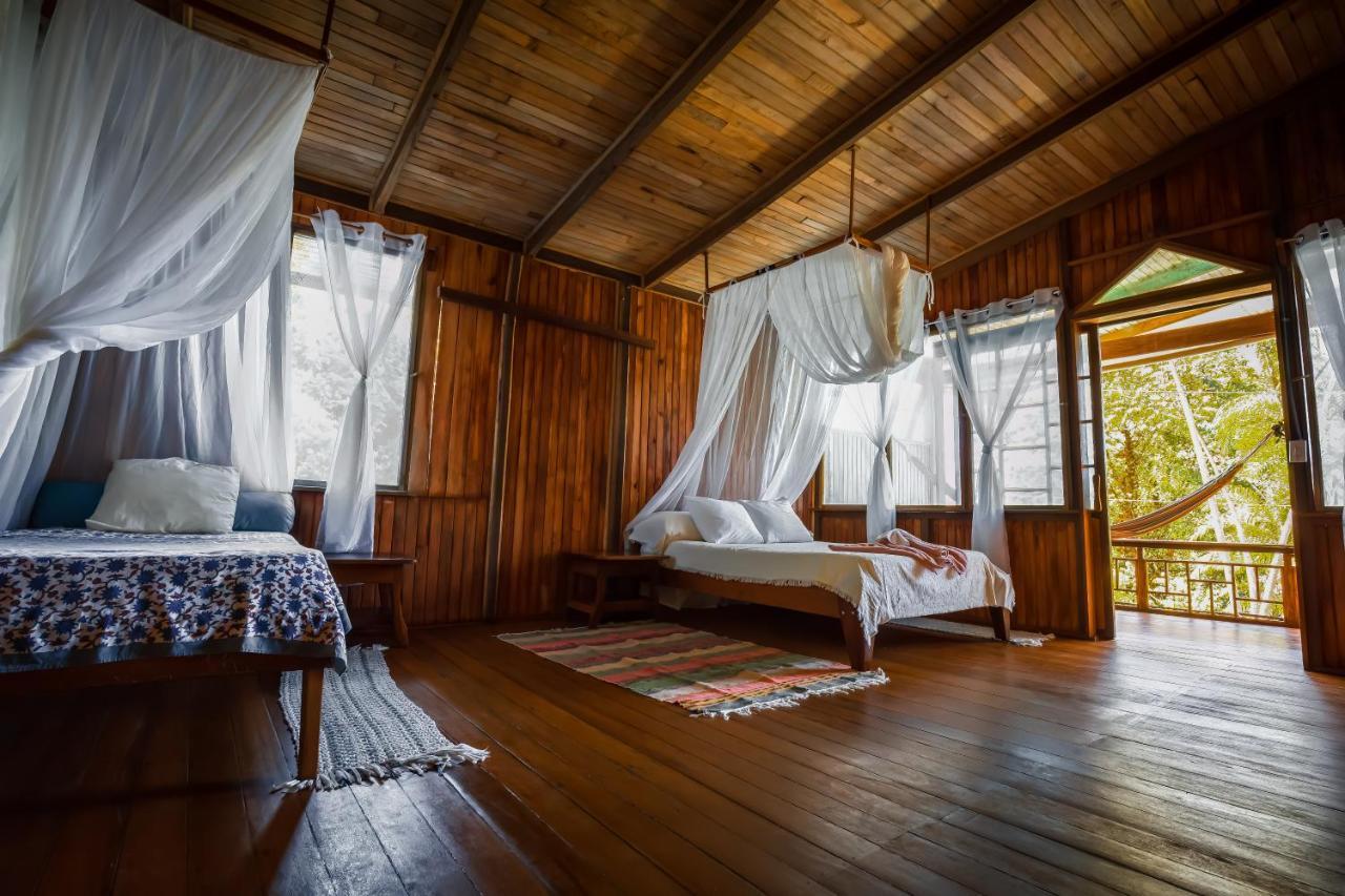 Ocean Forest Ecolodge San Pedrillo Bagian luar foto