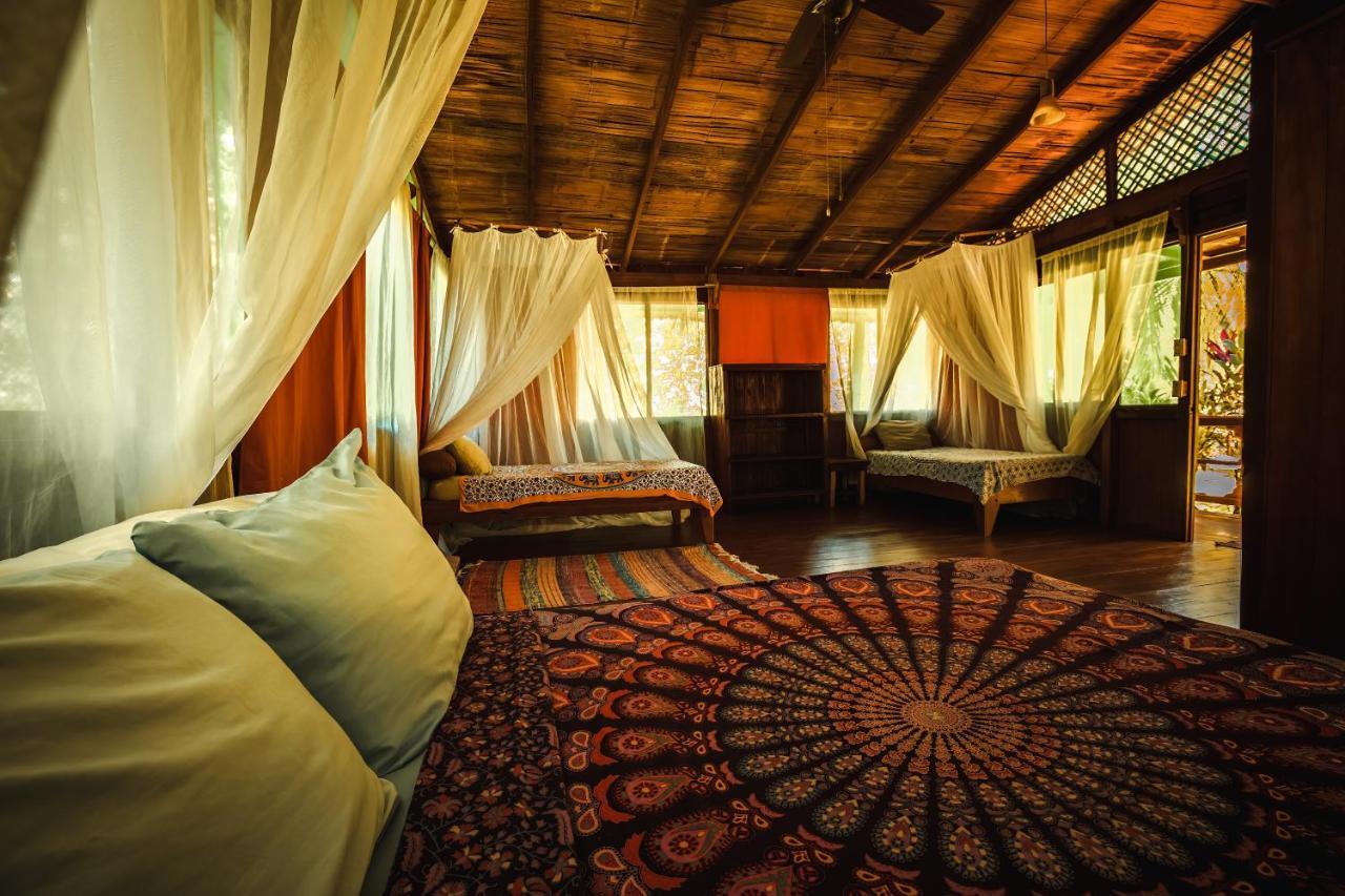 Ocean Forest Ecolodge San Pedrillo Bagian luar foto