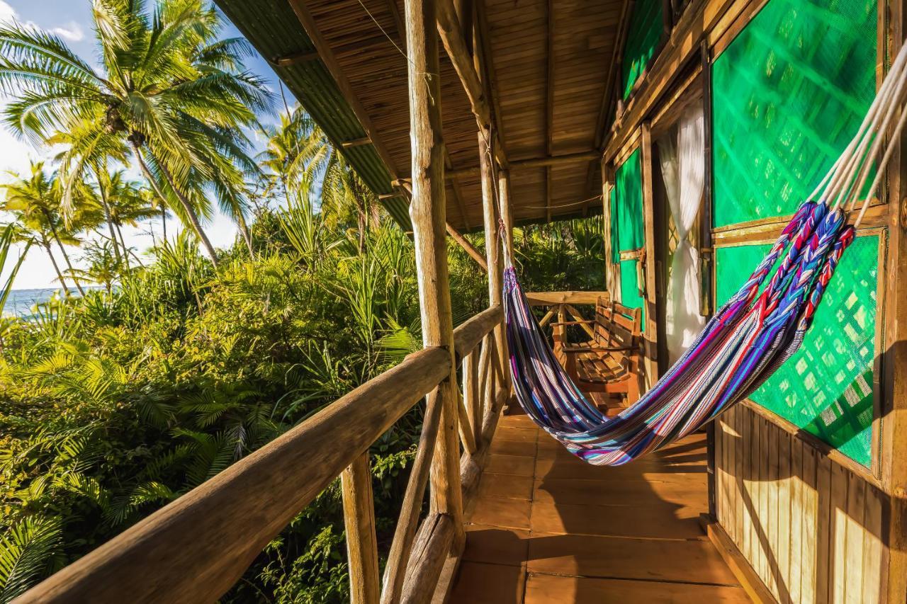Ocean Forest Ecolodge San Pedrillo Bagian luar foto