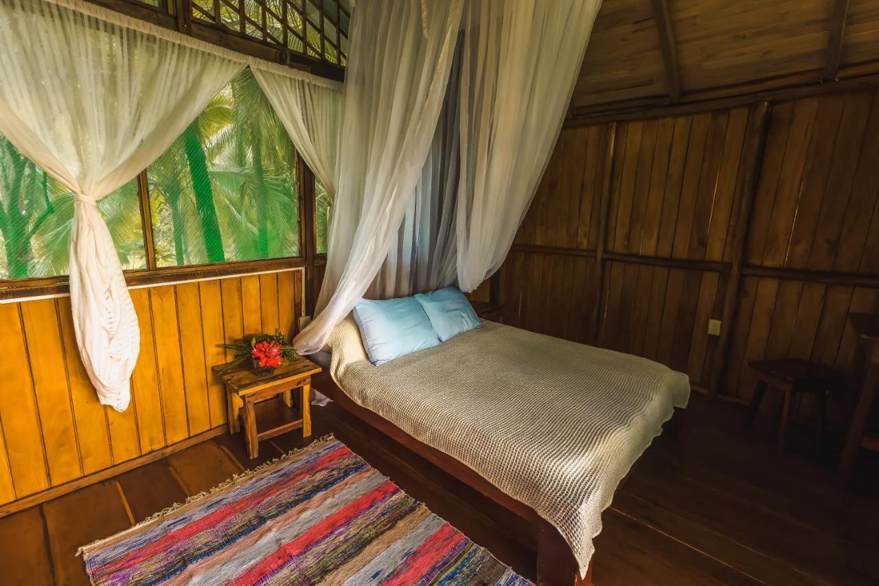 Ocean Forest Ecolodge San Pedrillo Bagian luar foto