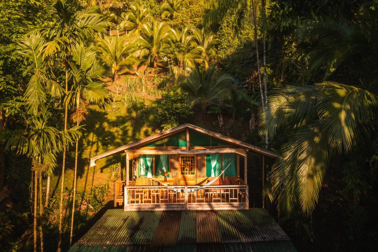 Ocean Forest Ecolodge San Pedrillo Bagian luar foto