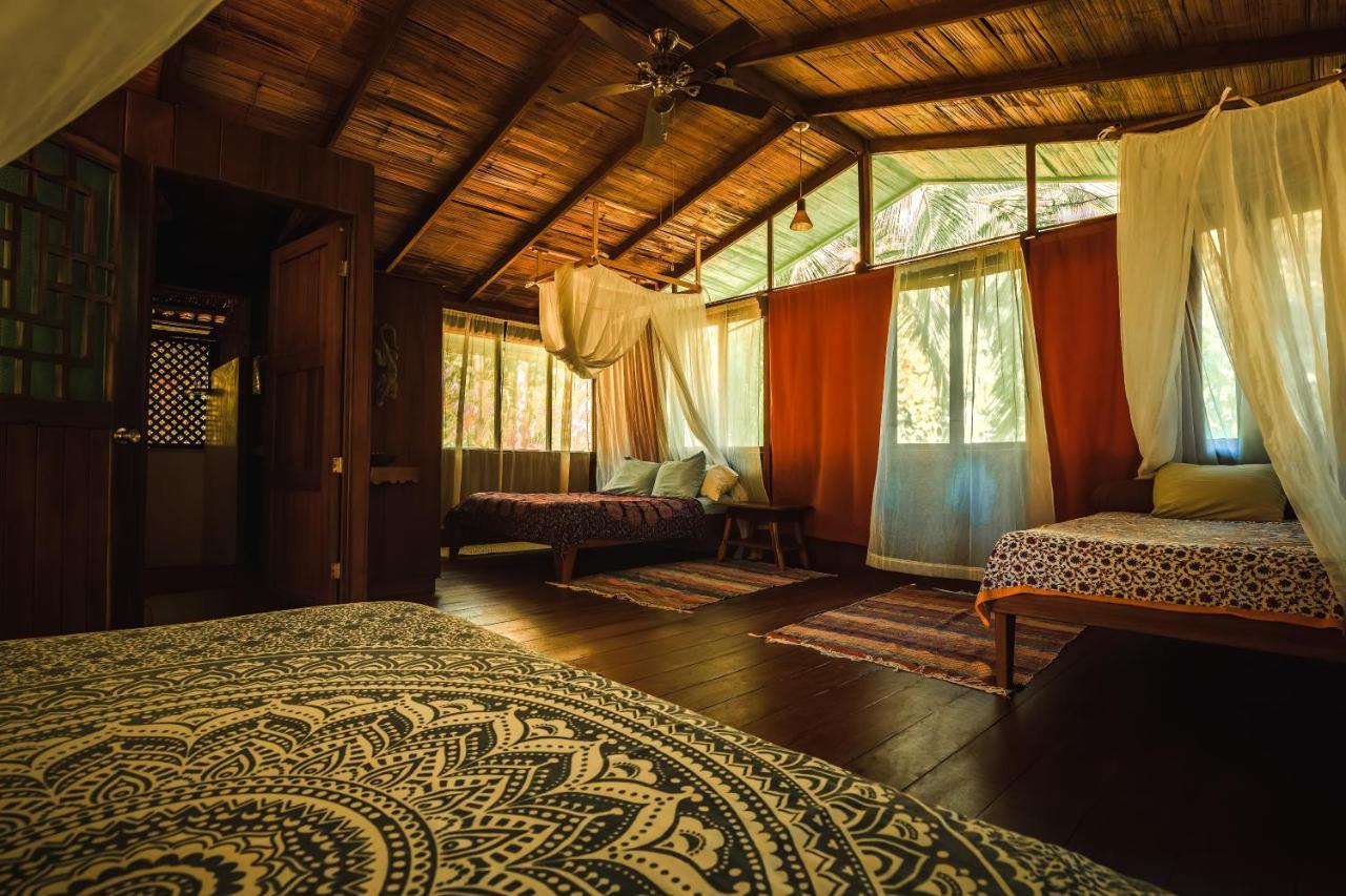 Ocean Forest Ecolodge San Pedrillo Bagian luar foto
