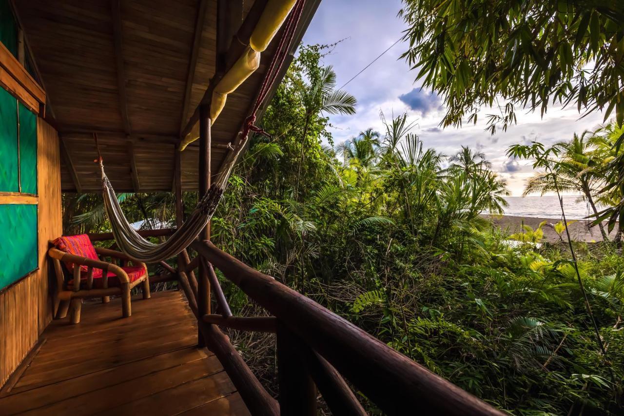 Ocean Forest Ecolodge San Pedrillo Bagian luar foto