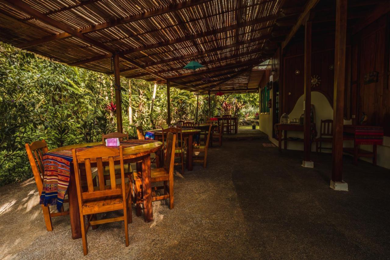 Ocean Forest Ecolodge San Pedrillo Bagian luar foto