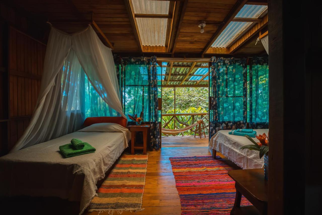 Ocean Forest Ecolodge San Pedrillo Bagian luar foto