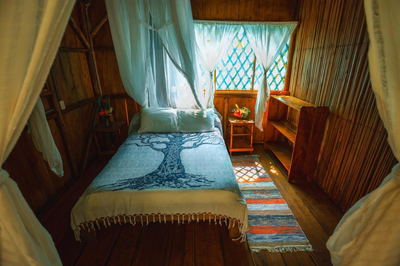 Ocean Forest Ecolodge San Pedrillo Bagian luar foto