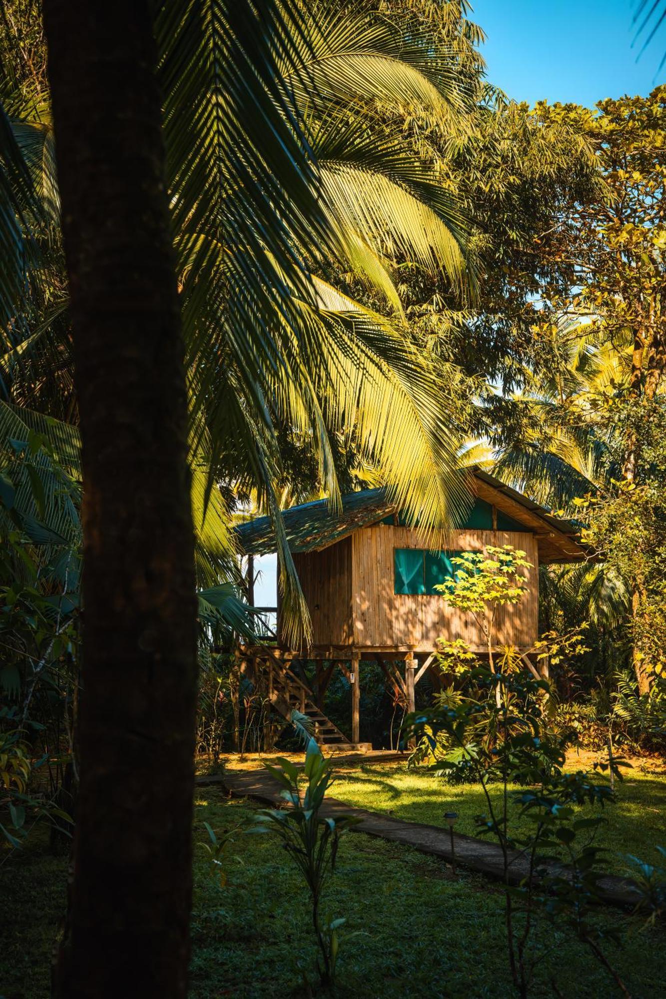 Ocean Forest Ecolodge San Pedrillo Bagian luar foto