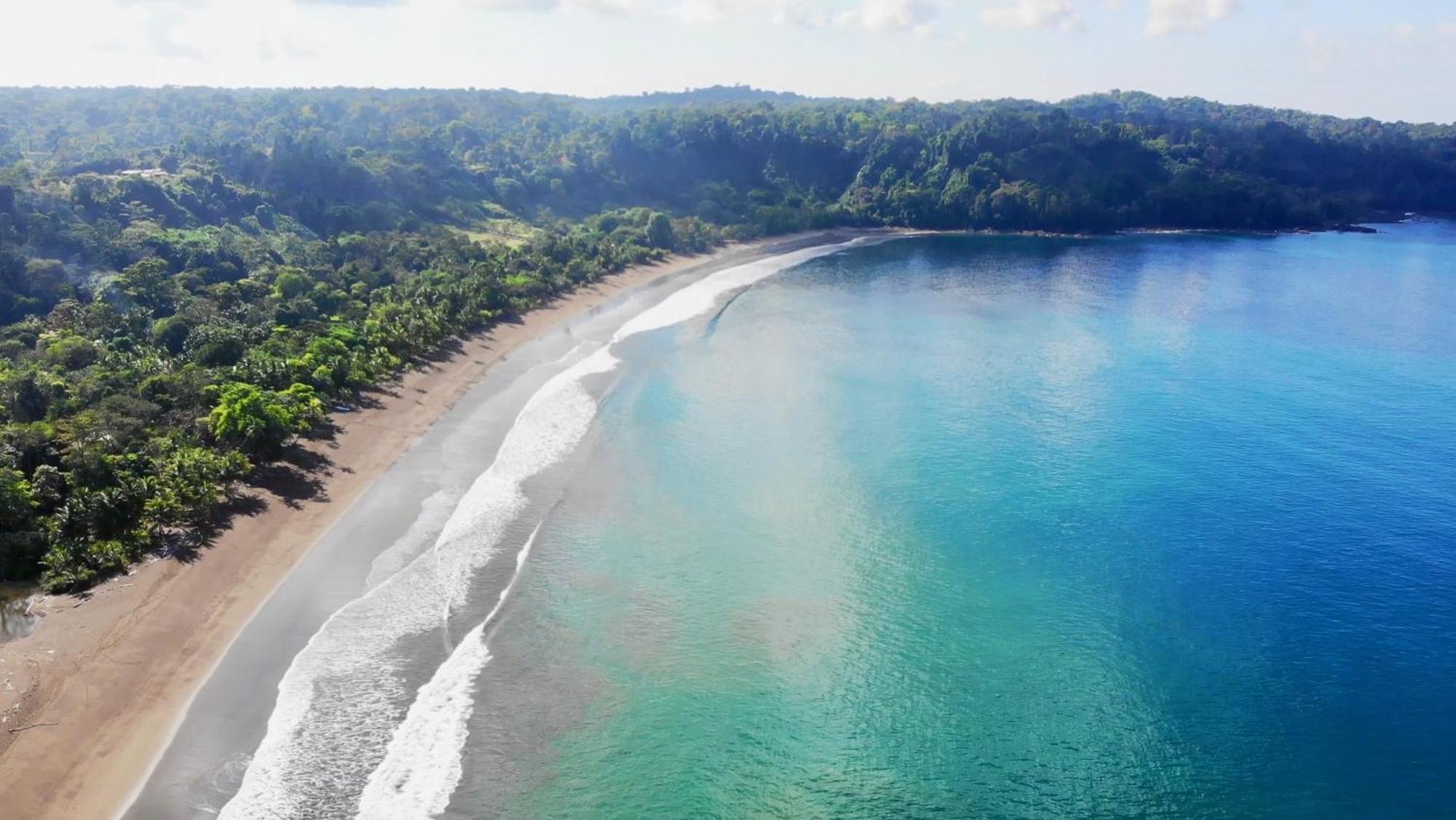 Ocean Forest Ecolodge San Pedrillo Bagian luar foto