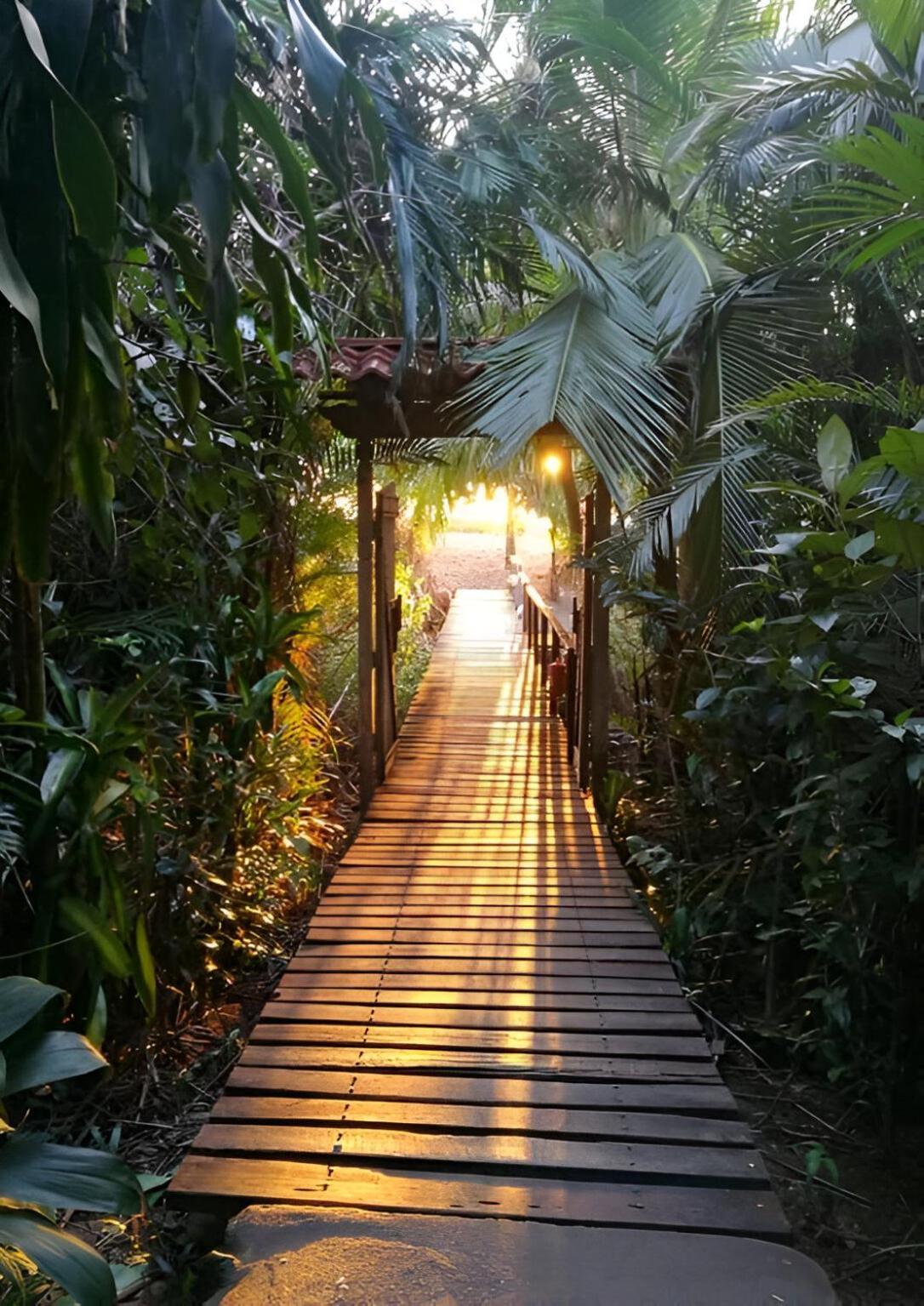 Ocean Forest Ecolodge San Pedrillo Bagian luar foto