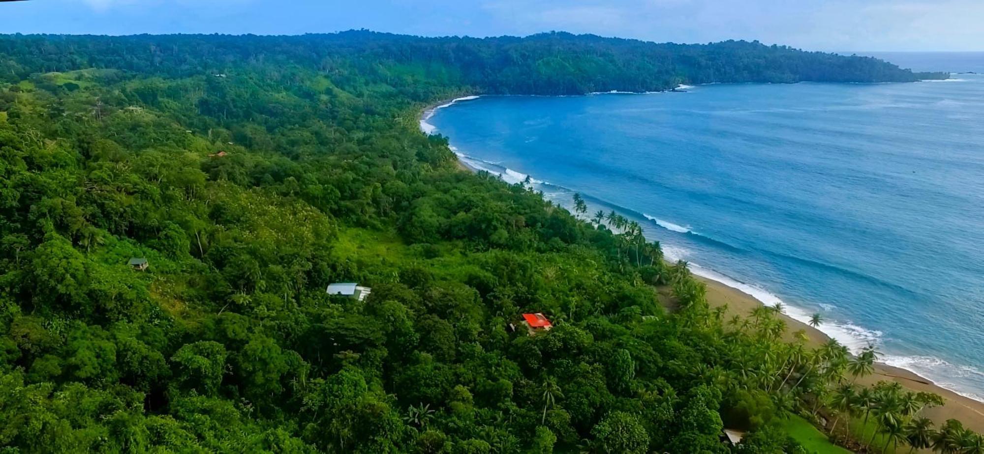 Ocean Forest Ecolodge San Pedrillo Bagian luar foto