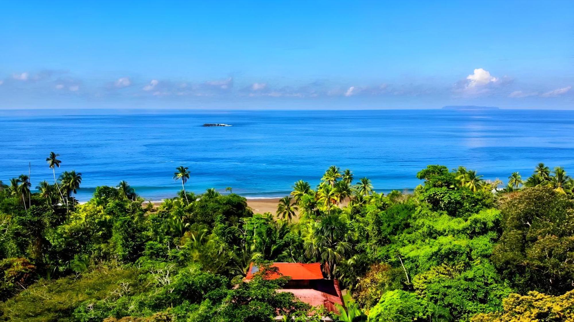 Ocean Forest Ecolodge San Pedrillo Bagian luar foto