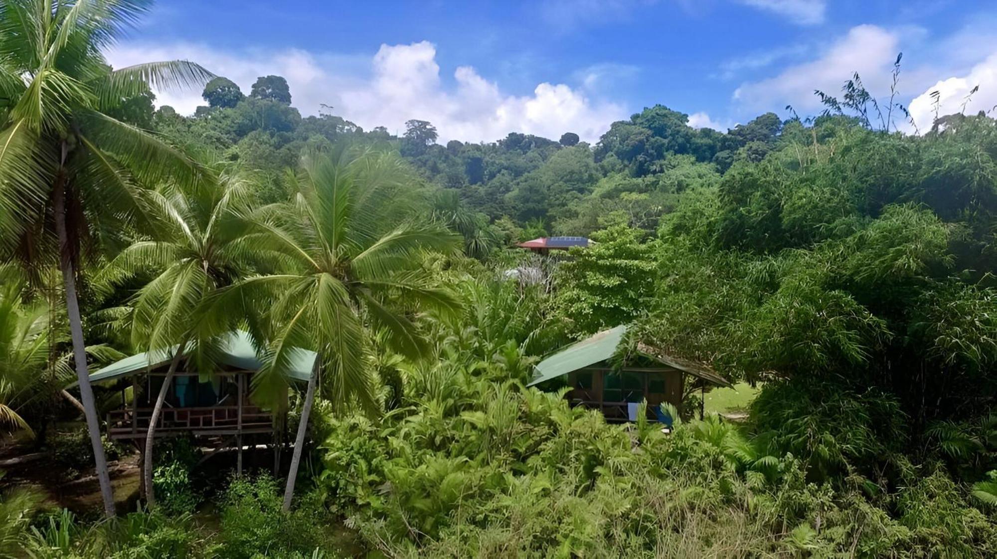Ocean Forest Ecolodge San Pedrillo Bagian luar foto