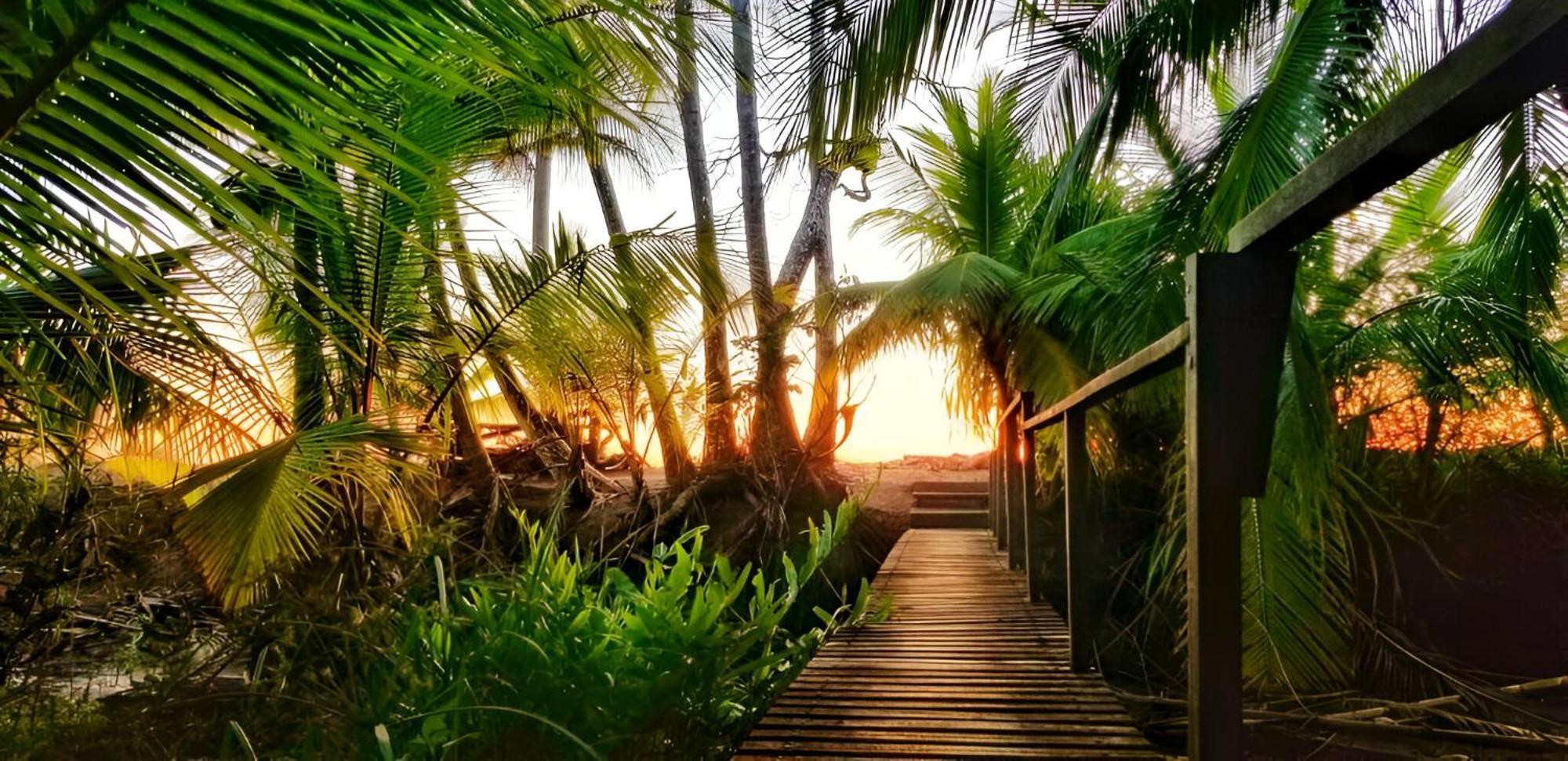 Ocean Forest Ecolodge San Pedrillo Bagian luar foto
