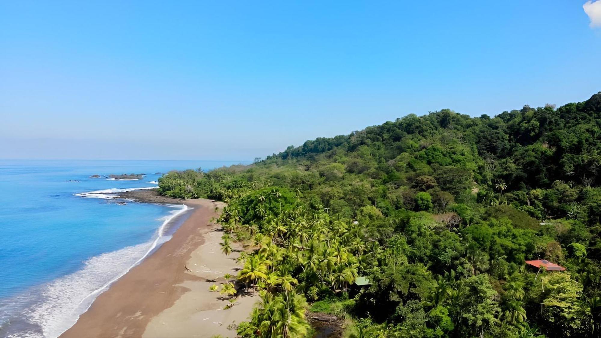 Ocean Forest Ecolodge San Pedrillo Bagian luar foto