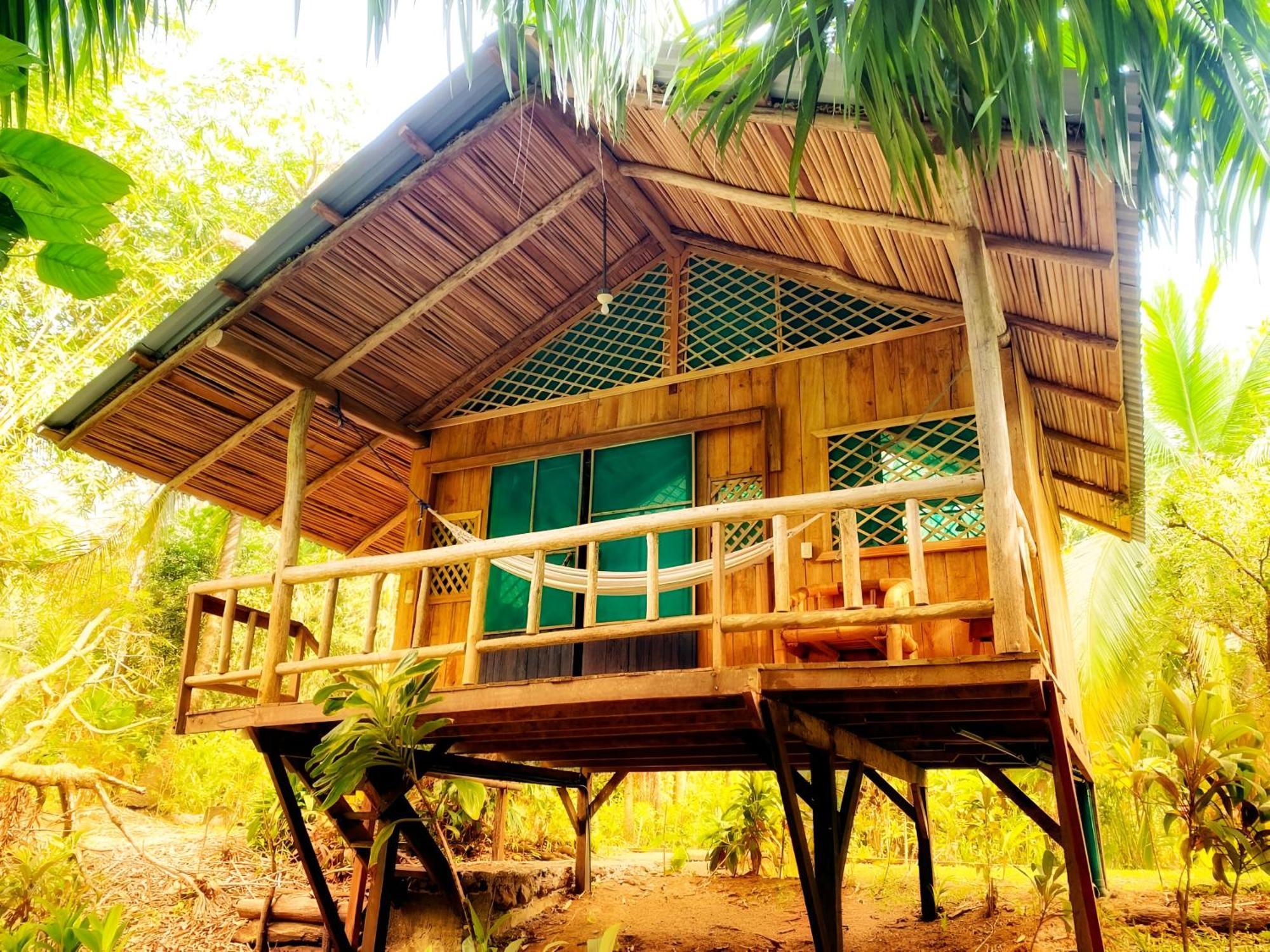Ocean Forest Ecolodge San Pedrillo Bagian luar foto